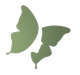 Mariposa