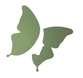 MariposaWEB